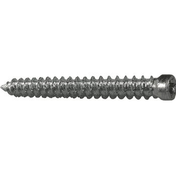 Fensterrahmenschrauben PROFIX PFS-ZK T30
